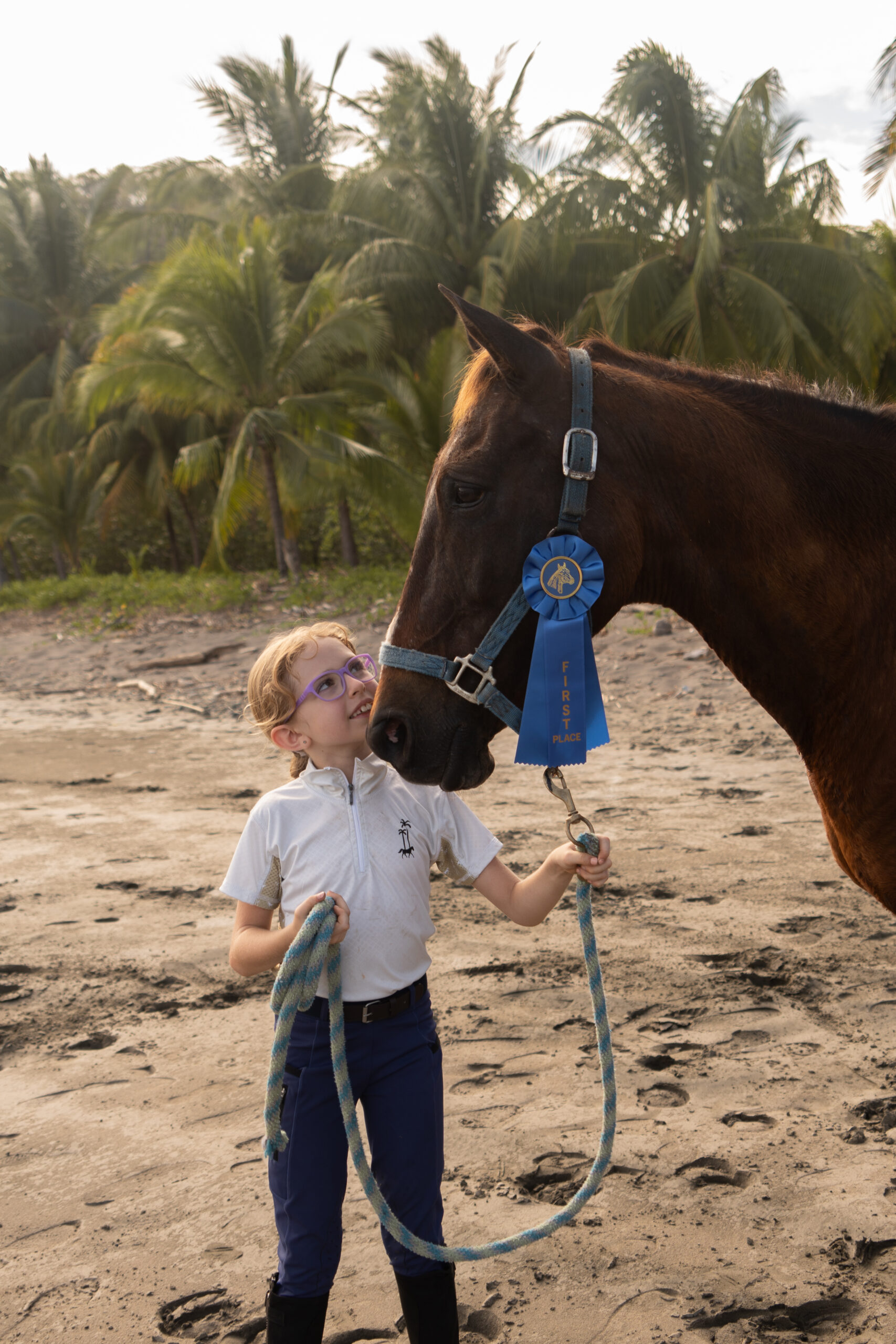Caballo 3